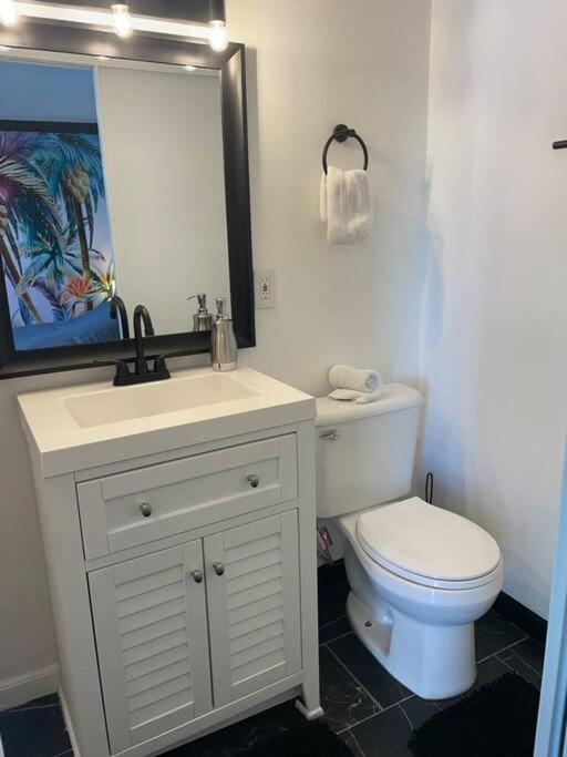 Your Tiny Downtown With Backyard Unit D Apartment *